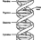 건강